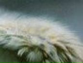 Никита Соколов | Подольск