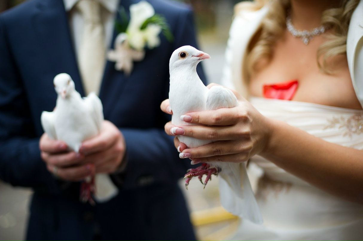 Катя Смирнова | Москва