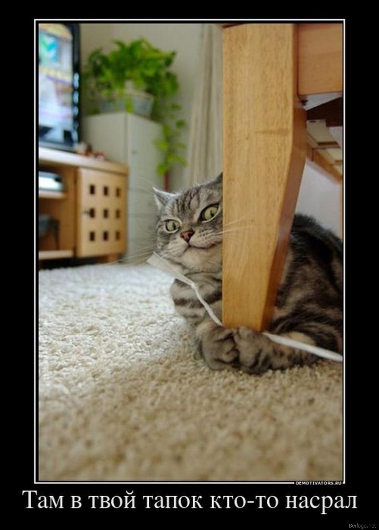 Виктор Pinochet | Сумы