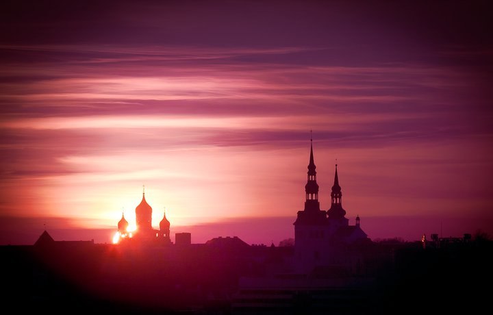 Ольга Лютова | Таллин