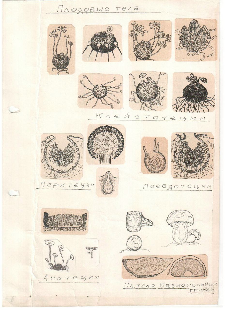 Василий Филимонов | Нижний Новгород