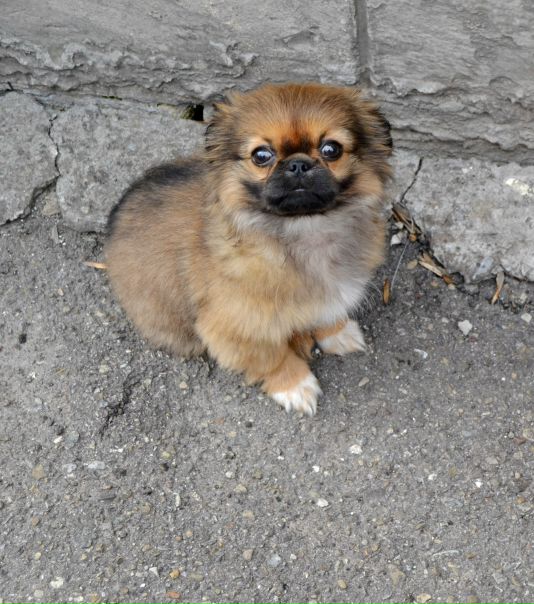 №54, Настя Семенюк, 36 лет, Хмельницкий №54, Настя Семенюк, 36 лет, Хмельницкий