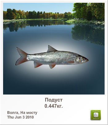 Денис Шлейгер сергеевич | Саратов