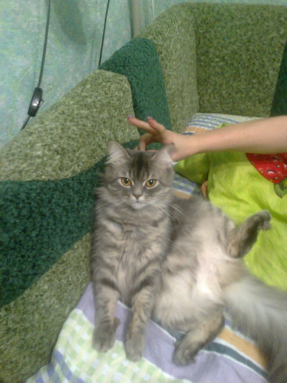 Анастасия Мамонова | Днепр (Днепропетровск)