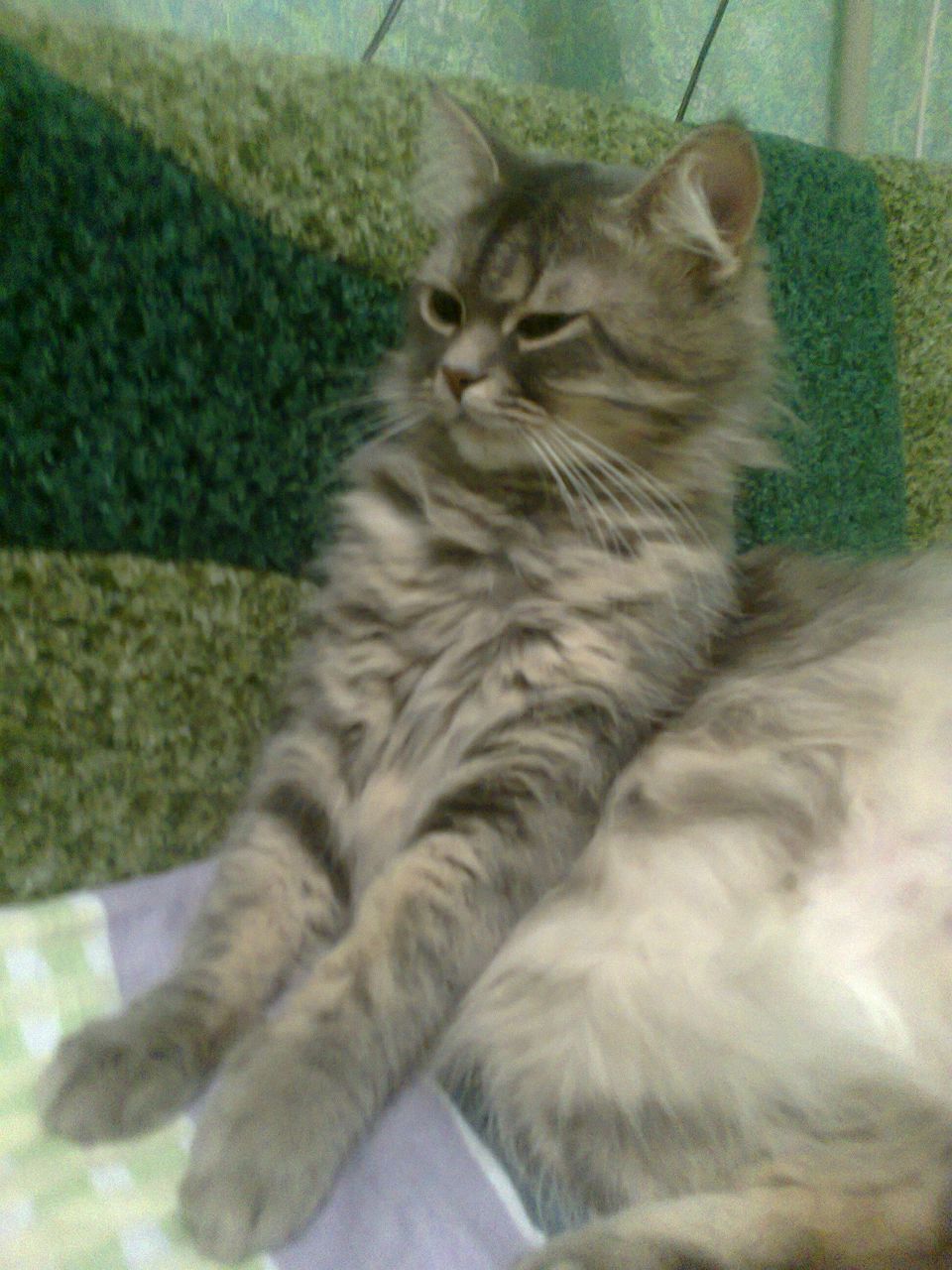 Анастасия Мамонова | Днепр (Днепропетровск)