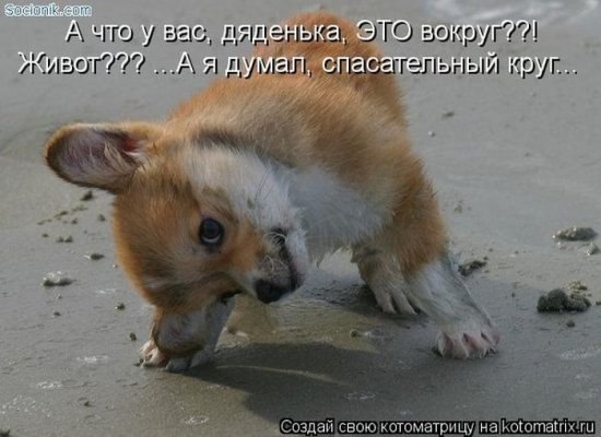 Василь Атаманчук Володимирович | Бережаны