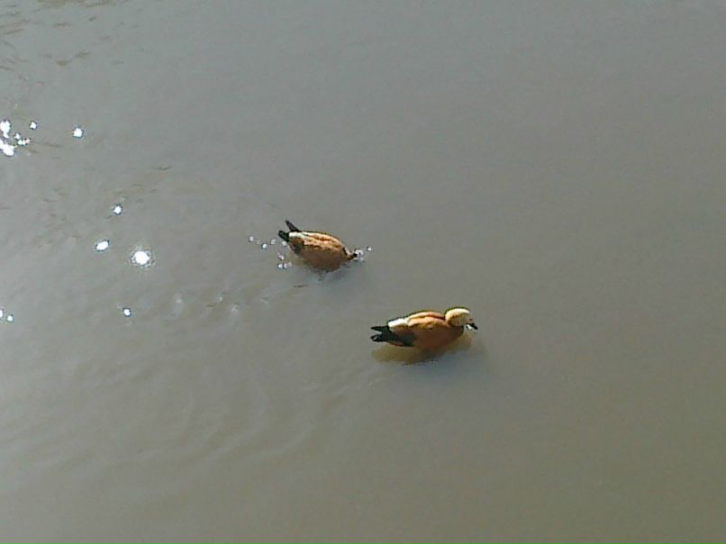 Angel Bolmosov | Москва