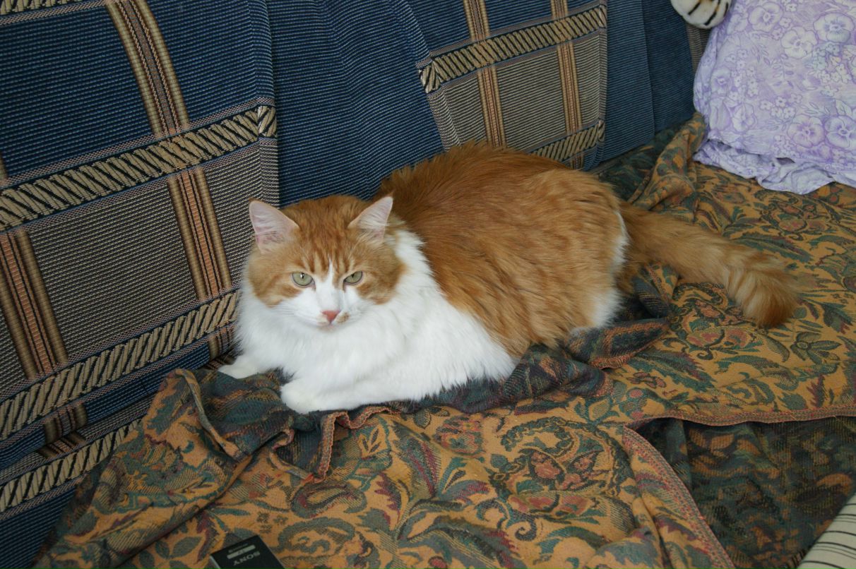 Зинаида Зубкова | Санкт-Петербург