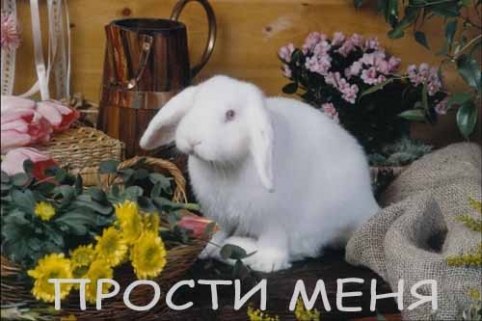 Андрій Кириченко | Львов