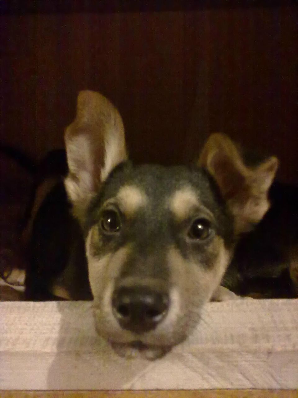 Санька Родионова | Москва