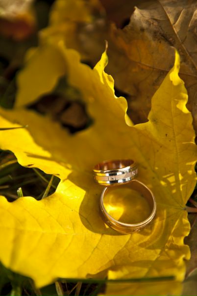 №16, Станислав Гук, Харьков №16, Станислав Гук, Харьков