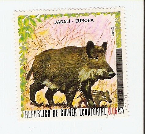 Жека Карпичев | Череповец