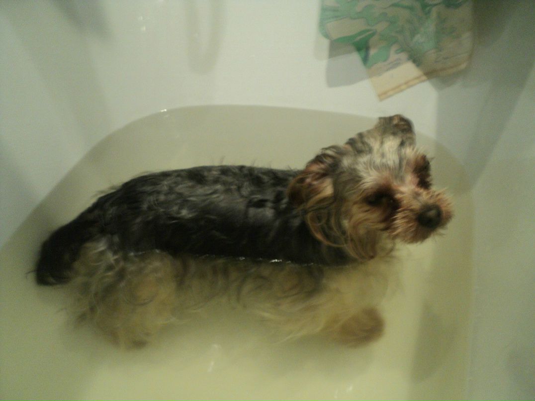 Аркадий Макрушин | Санкт-Петербург