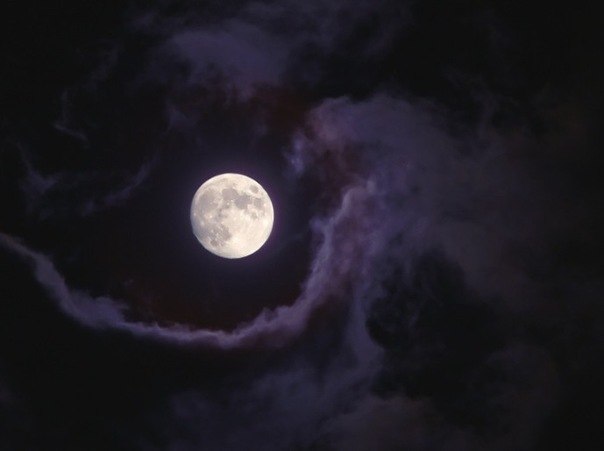 Гоша Laplandi Sadist | Николаев