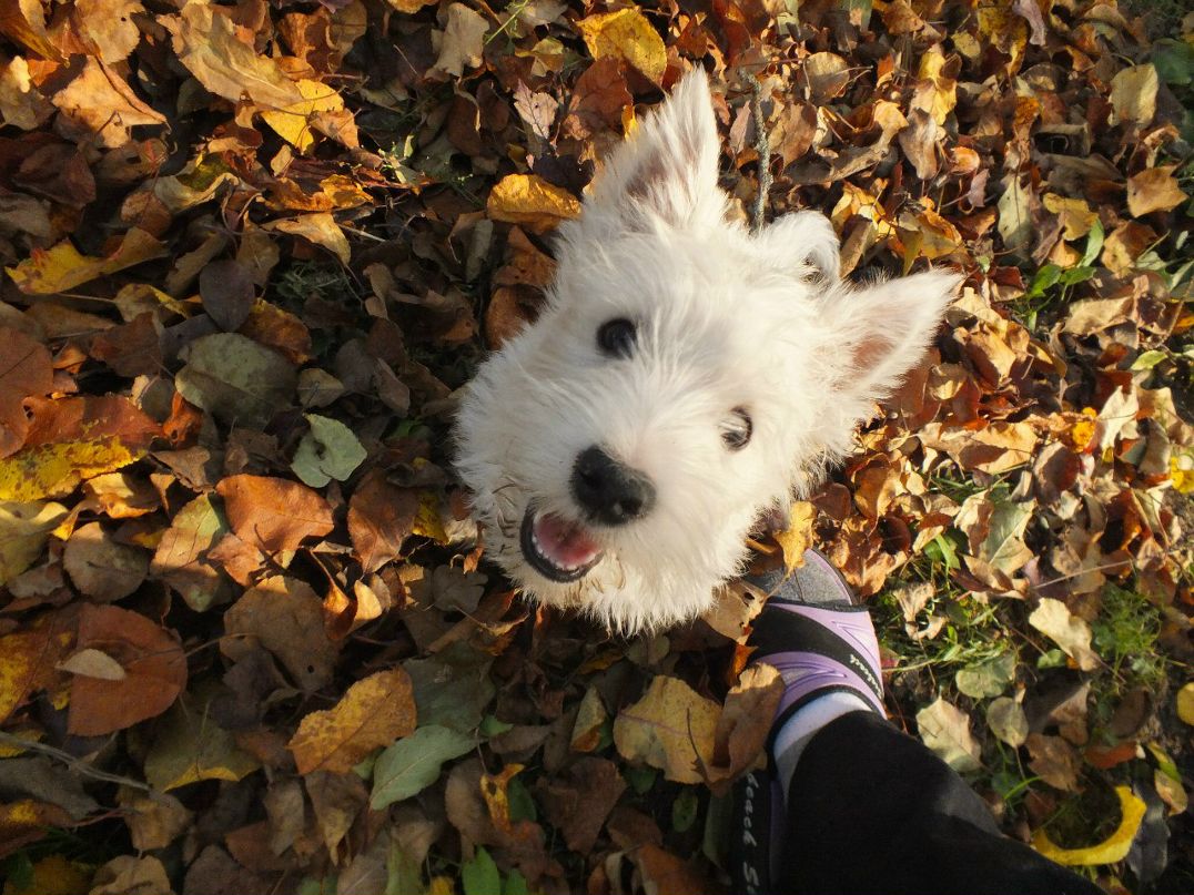 Елена Некрасова | Москва
