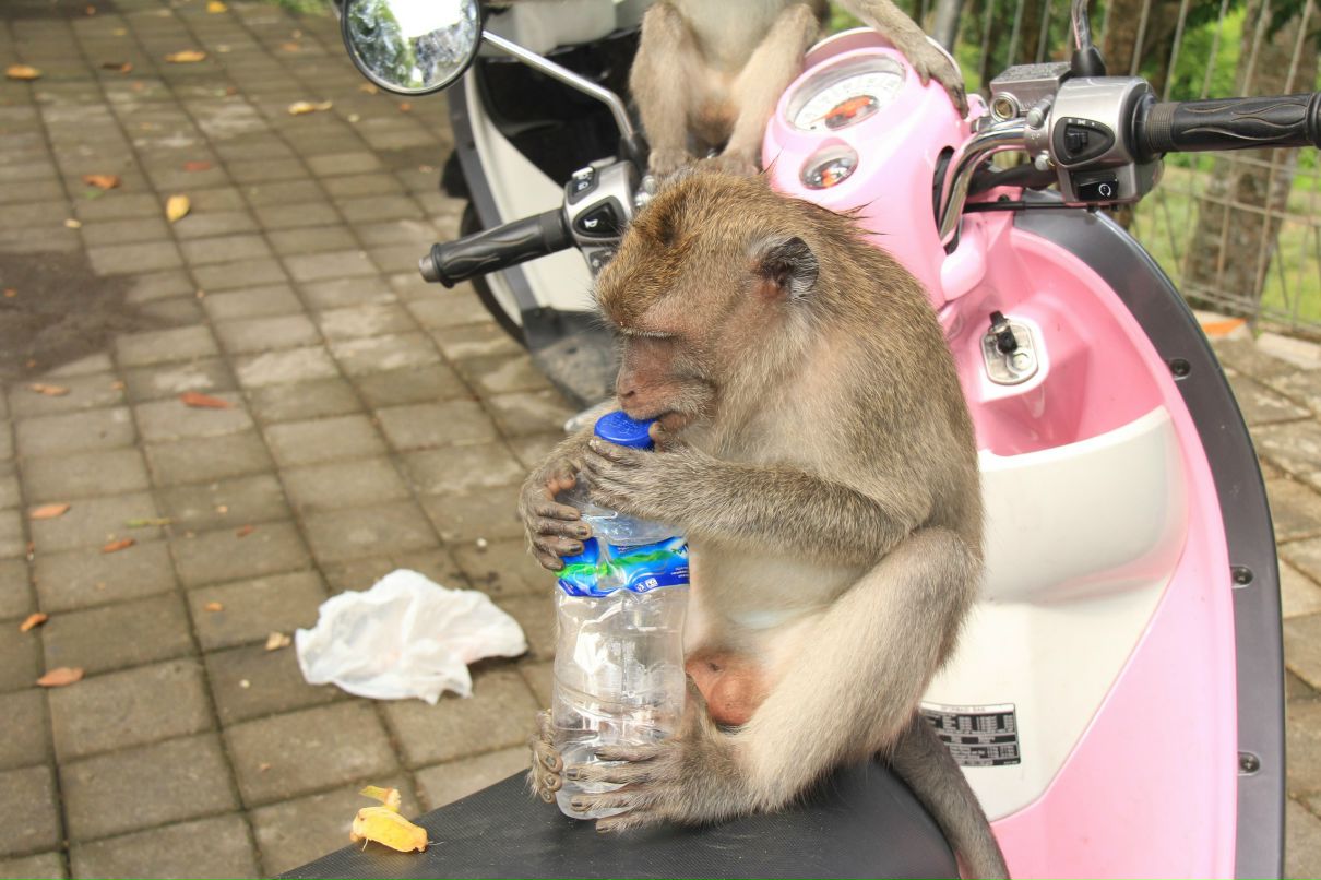 Светлана Хорькова | Москва