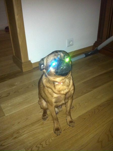 №53, Дмитрий Минкин №53, Дмитрий Минкин