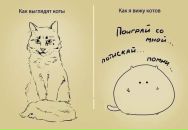 Фотография Арина Пушкевич