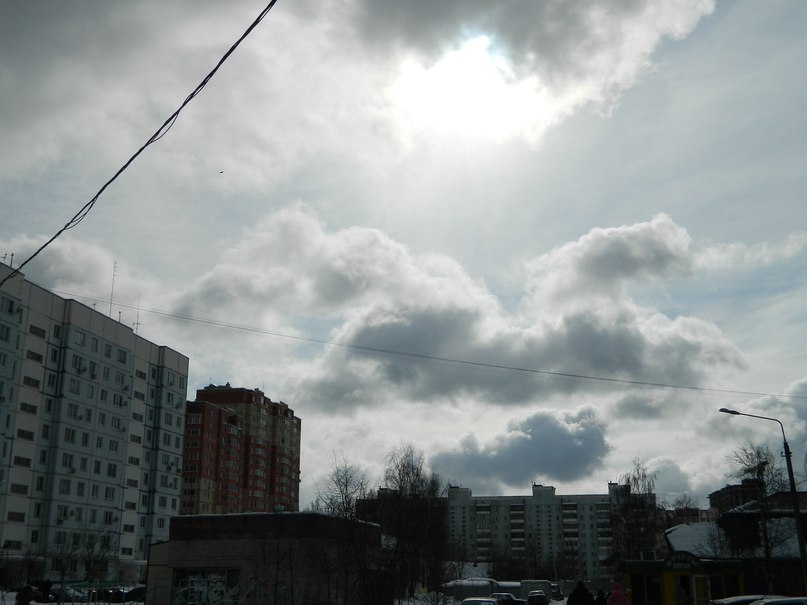 Алиска Додина | 