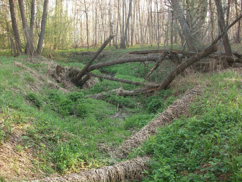 Сергей Потапов | Кузнецк