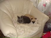 №8 Сергей Шершнев 01.08: профиль, фото, статус - ВКонтакте