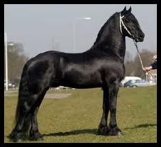 Марина Жданова *Сделана _С_Любовью* | Одесса