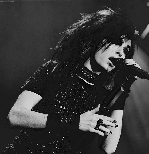 №55, Даня Брейбург №55, Даня Брейбург