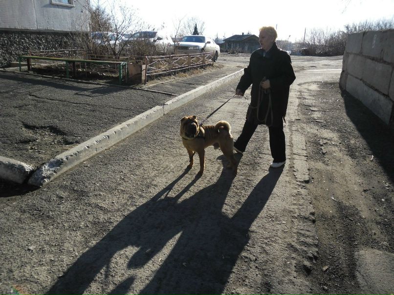 Ирина Даниловская | Новосибирск