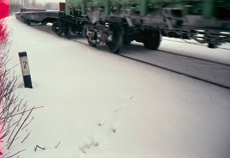 Саша Chipp | Москва