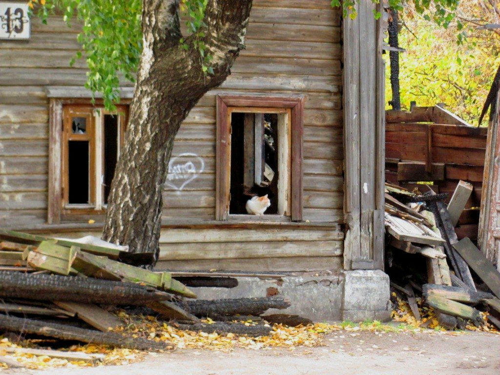 Елена Недопёкина | 