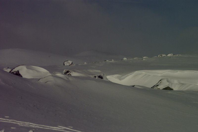 Степан Типикин | Москва