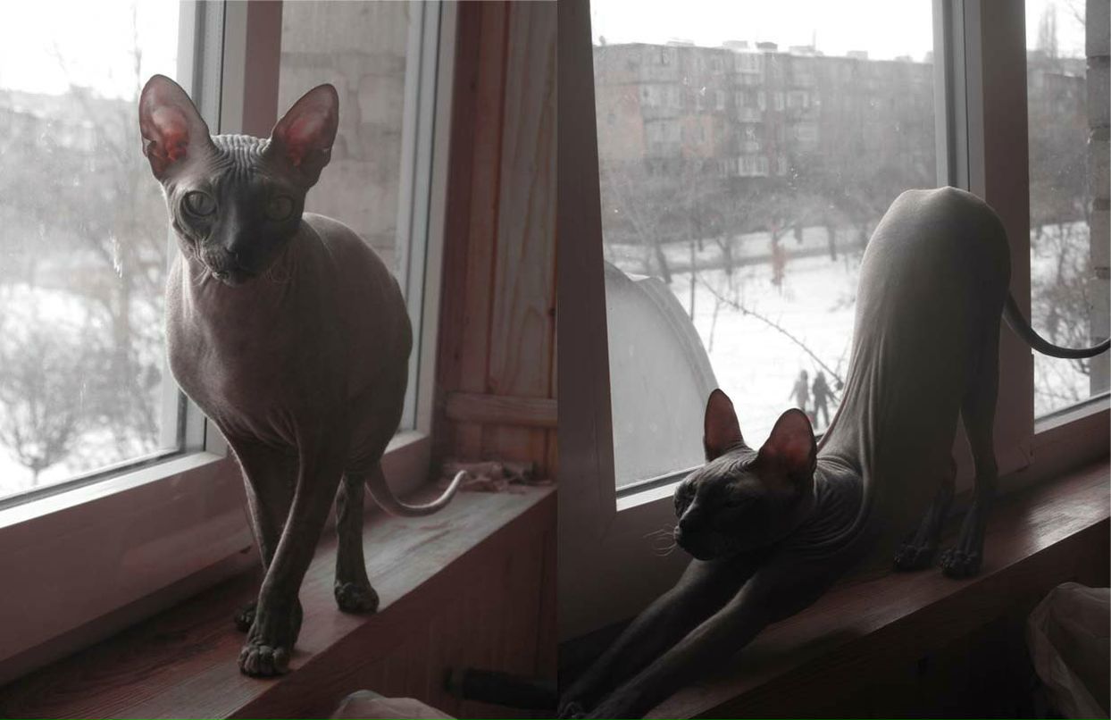 Василиса Ить-Ить ♥ | Черкассы