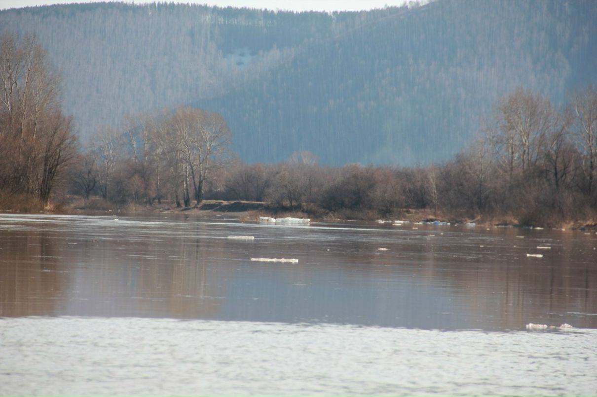 Алексей Федулкин | Новокузнецк