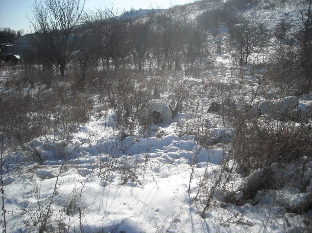 Серёга Овчинников | Энергодар