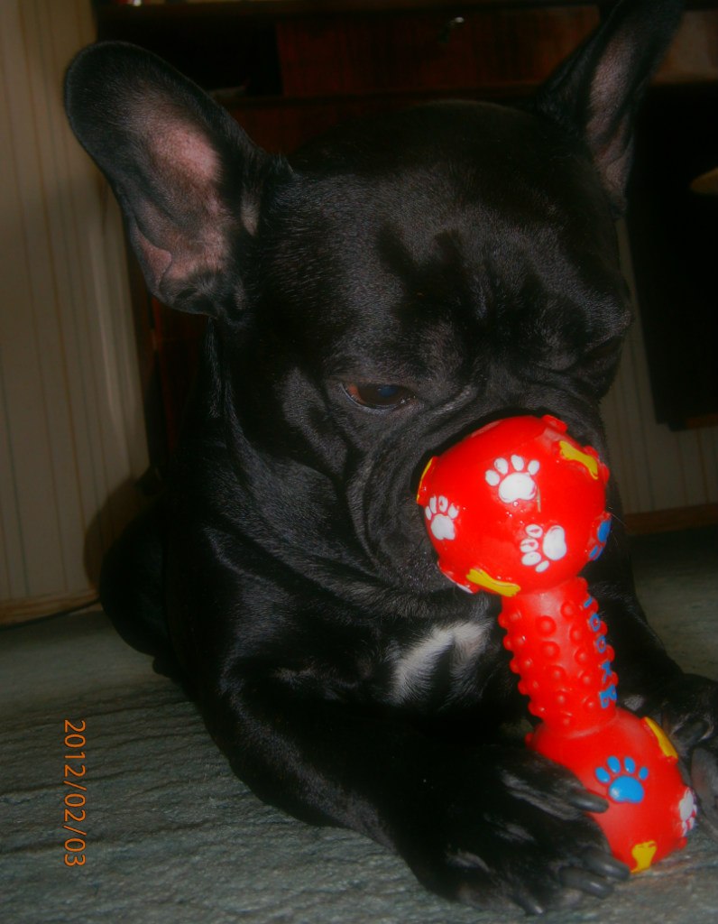 Ганна Жупник | Клайпеда