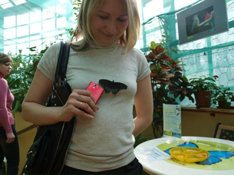 Резеда Сафиуллина | Казань