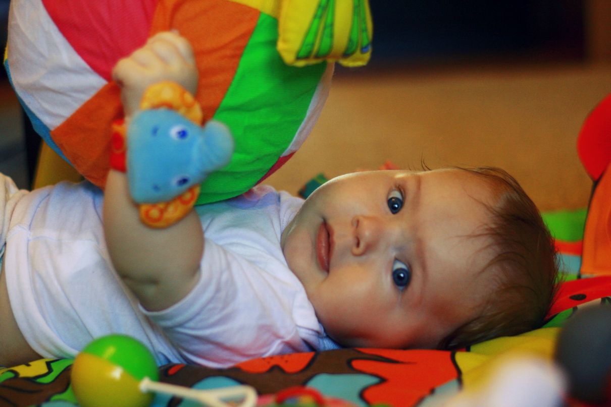 Буся Brown | Оренбург