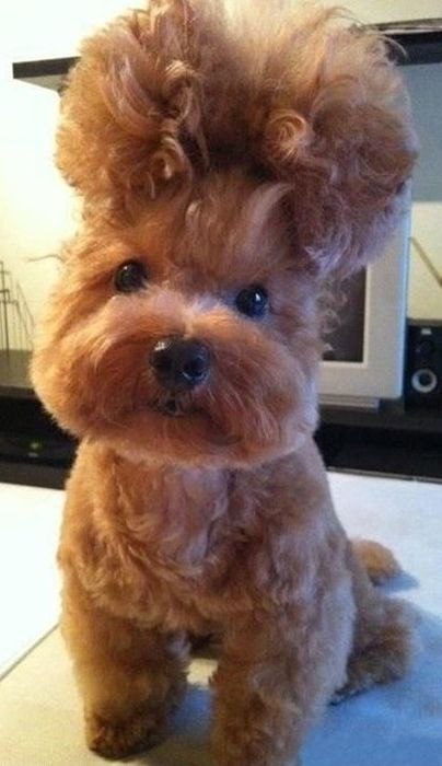 Андрей Дзизенко ¤†marwin†¤ | Запорожье