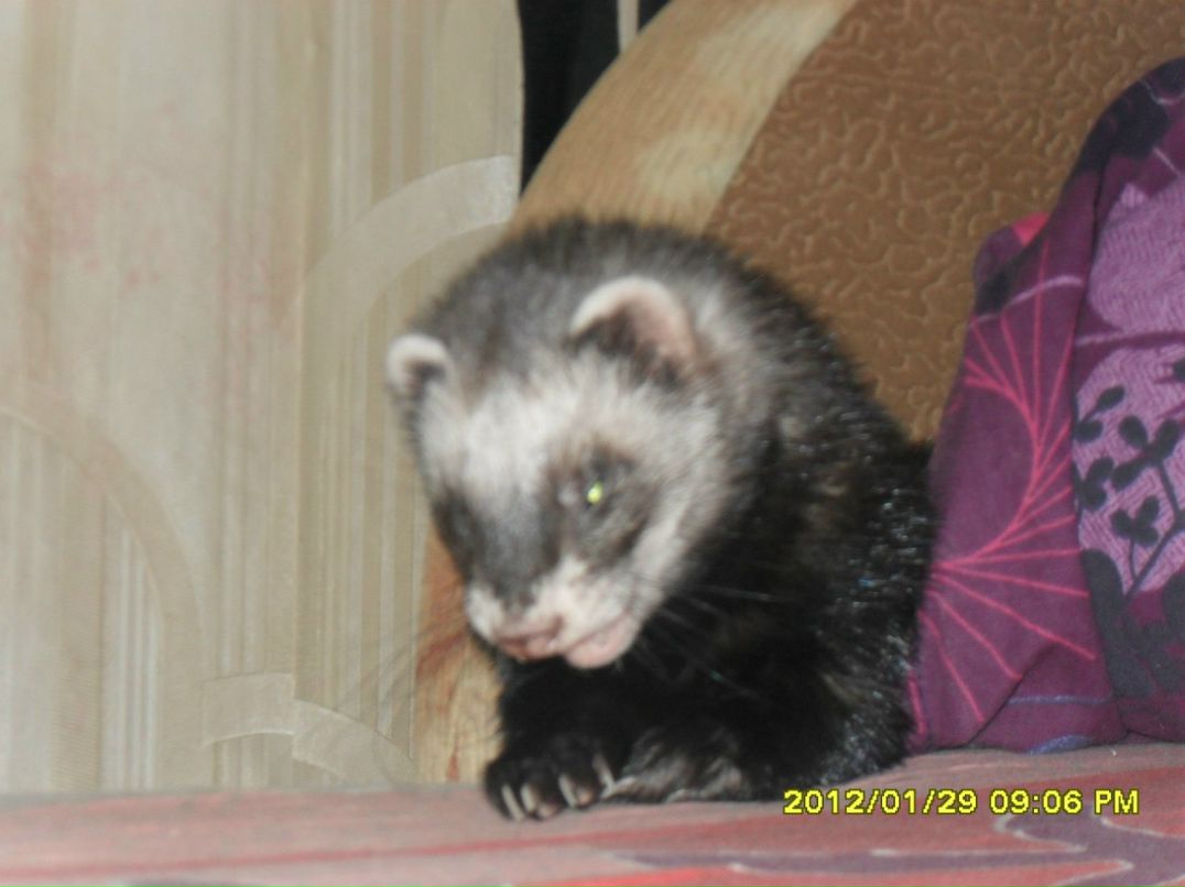 Александра Котова | Санкт-Петербург