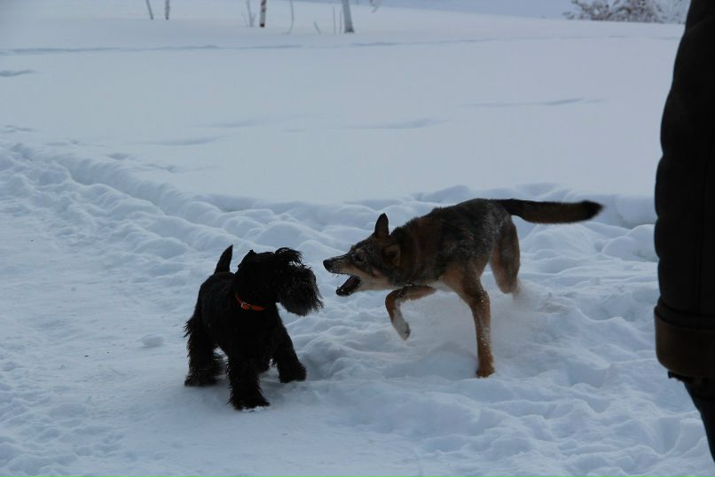 Елизавета Чаушева | Сургут