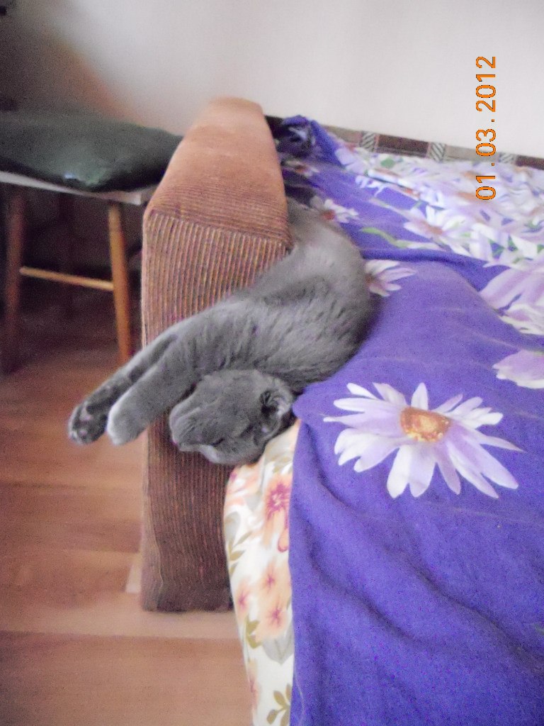 Ксения Арсеньева °•..☆ I ♥ Life ☆..•° | Щелково