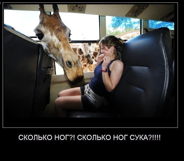 №53, Макс Задорожний, 43 года, Днепр (Днепропетровск) №53, Макс Задорожний, 43 года, Днепр (Днепропетровск)