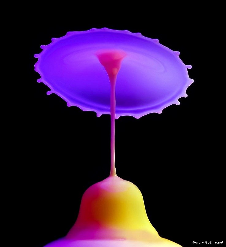 Ольга Галустян | Одесса