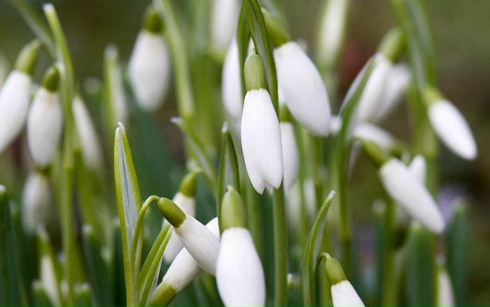 №140, Мария Пономарева, 37 лет, Москва, Россия №140, Мария Пономарева, 37 лет, Москва, Россия