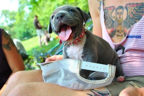 Катрин Елова | 