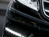 Максим Дедов | Тамбов