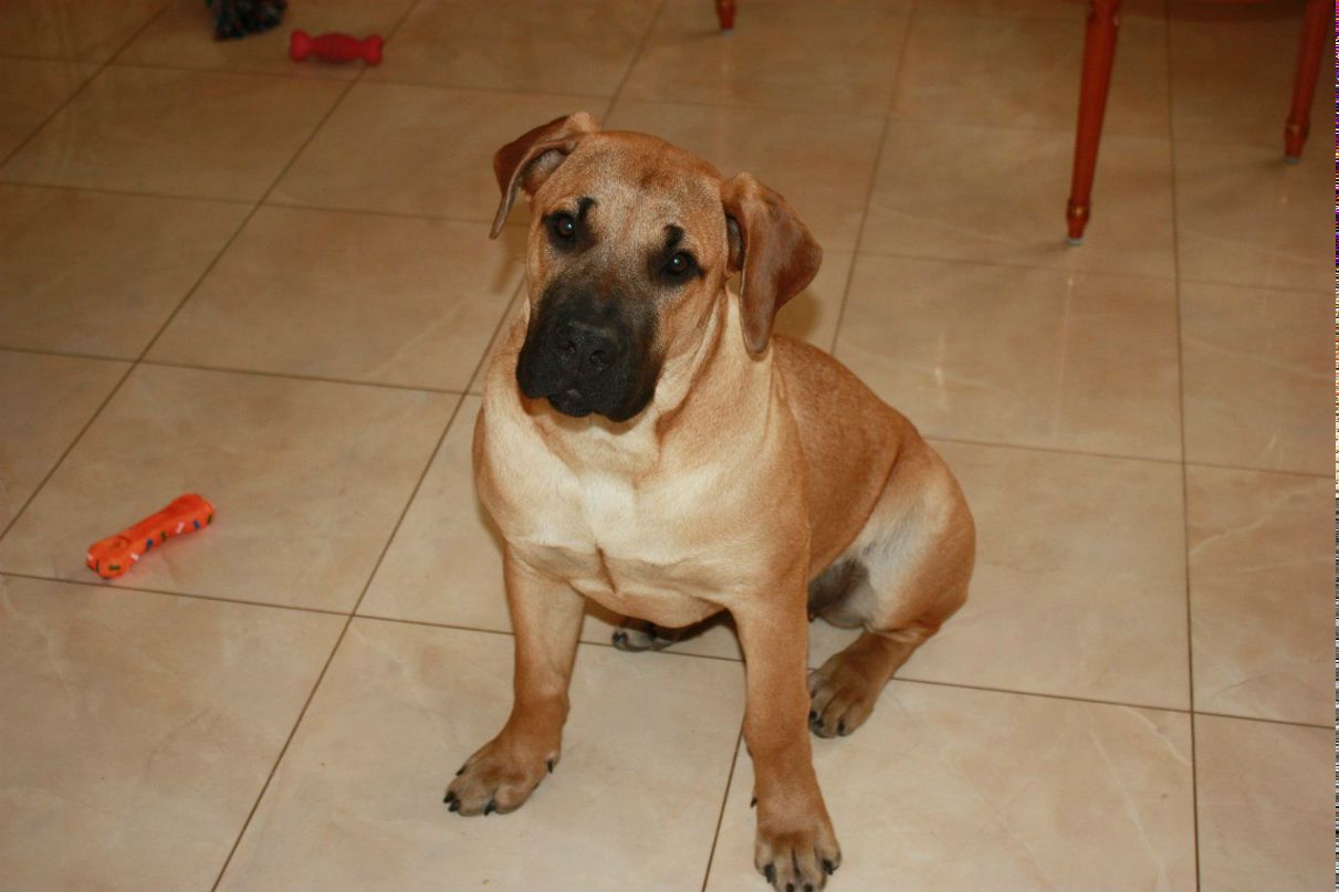 Леночка Тиранова | Санкт-Петербург