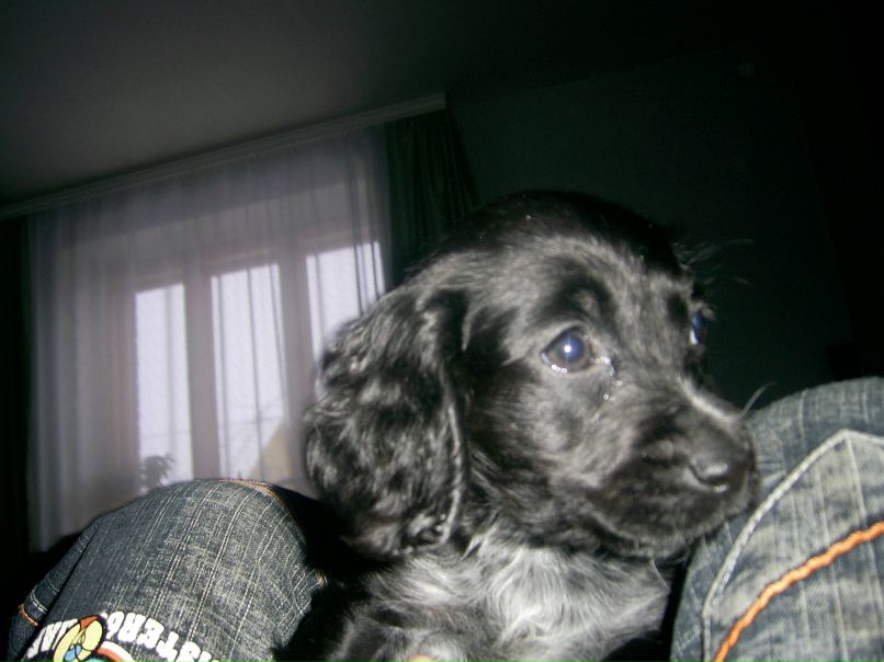 Юлия Калмыкова | 