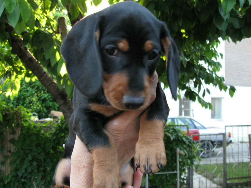 Сергей Сидоренко | Днепр (Днепропетровск)