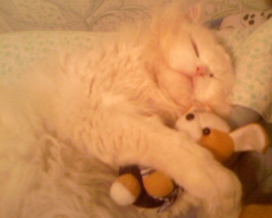 Ольга Рожкова | Стаханов